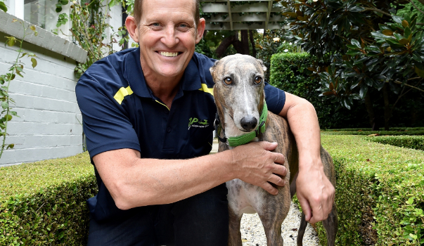 News & Events - Greyhounds as Pets